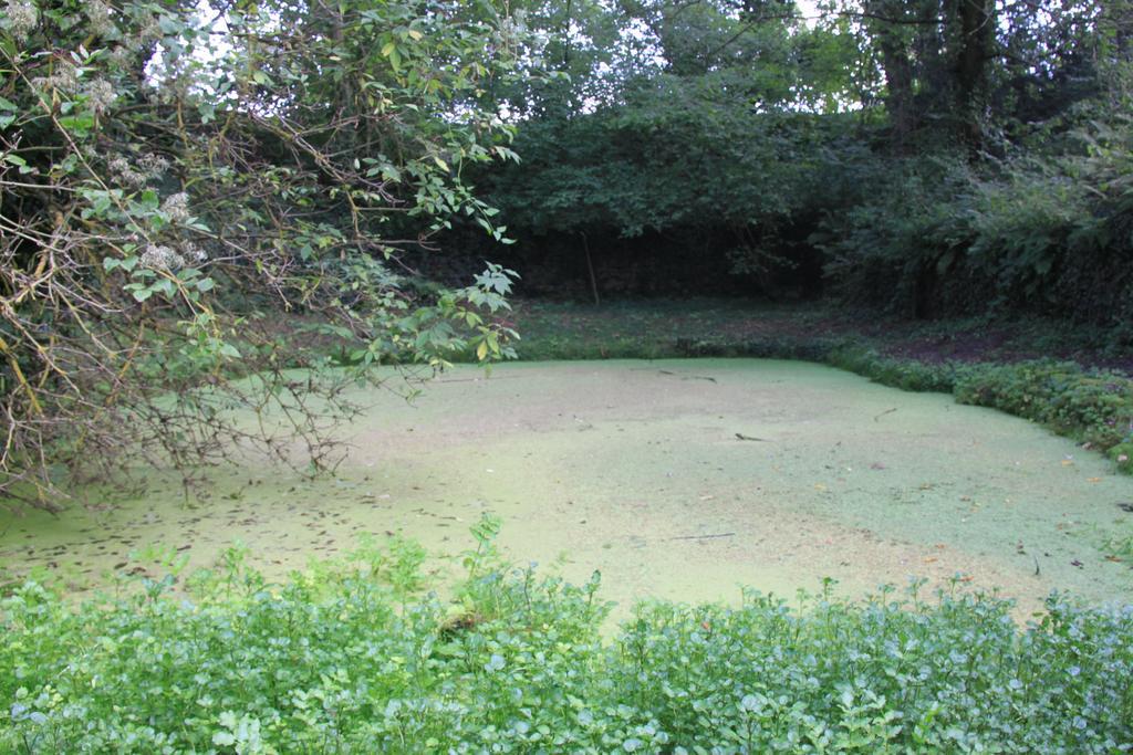 Les Jardins De La Tuilerie Frühstückspension Jouarre